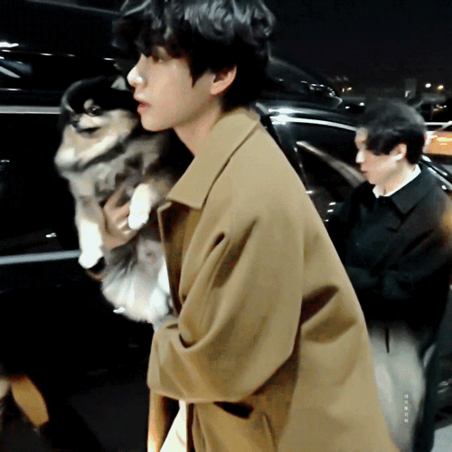 防弹少年团bts小面包薇薇小六v金泰亨动图gif