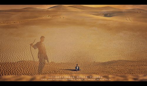 沙漠—the desert