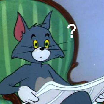 汤姆猫问号 - 365表情包