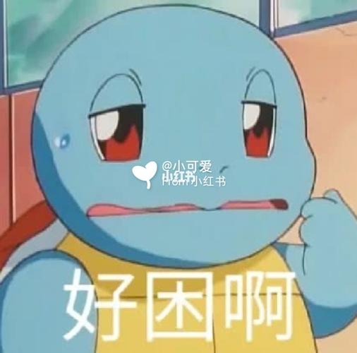 憨憨杰尼龟沙雕表情包_表情包_沙雕_我最爱的表情包_素材_表情包