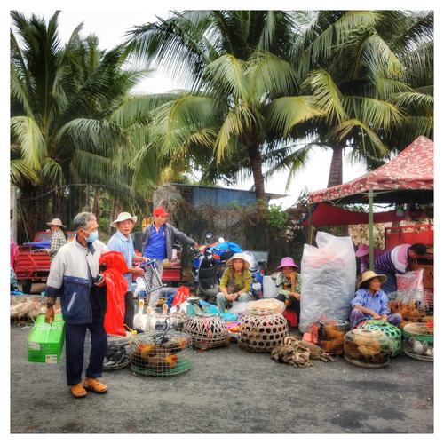 赶英州大集——手机拍于海南陵水黎族自治县英州镇