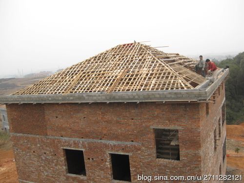 本来屋顶是现浇水泥的,师傅们说那今年,年前都不能完工,想想算了就