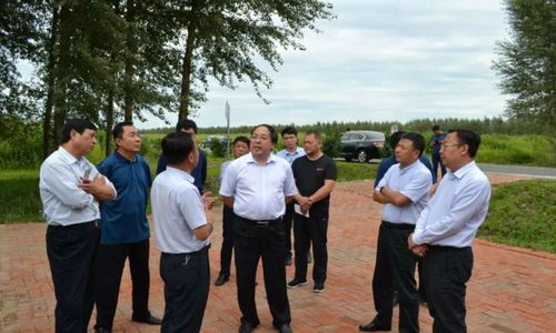 南大港产业园区考察团到青冈县考察调研