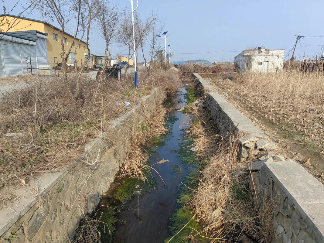 清理排水沟前后对比图