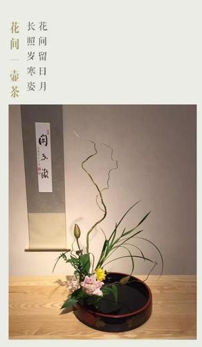 茶席插花:席上跳跃的色彩