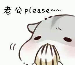 情侣秀恩爱老公系列仓鼠表情包 中文 / 155kb