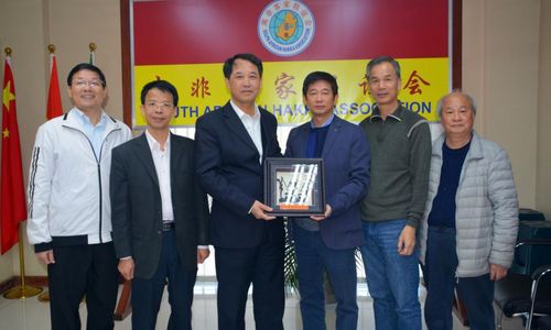 河源市委常委叶少军率河源市访问团访问南非