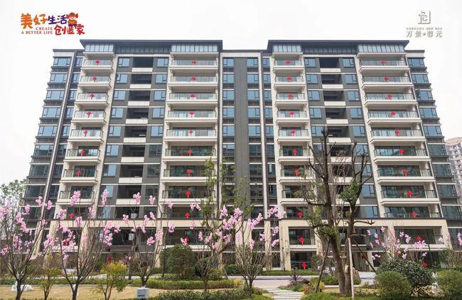 万景61蓉元交房现场实景照片精美新家