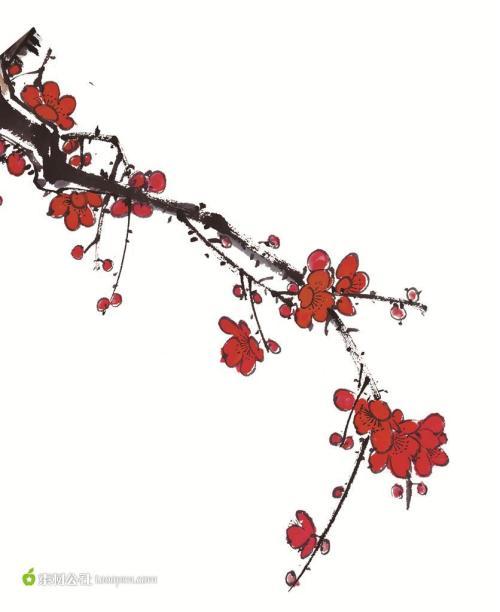 一枝梅花简笔画