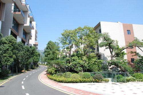 大梅沙一线观海别墅爱琴湾山庄买别墅送40万游艇