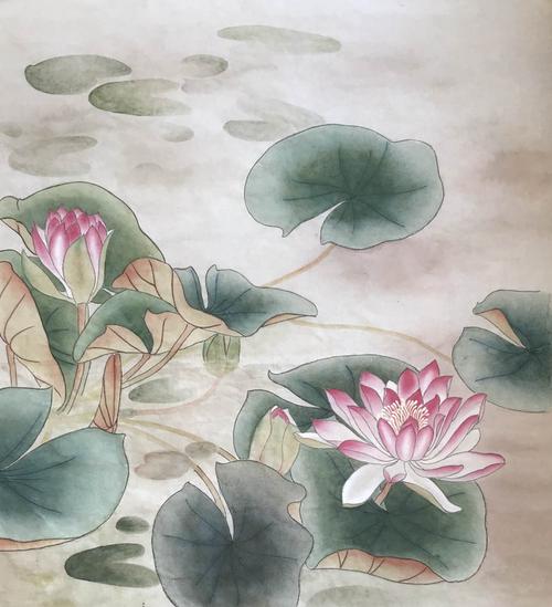 工笔小班课画纪——睡莲