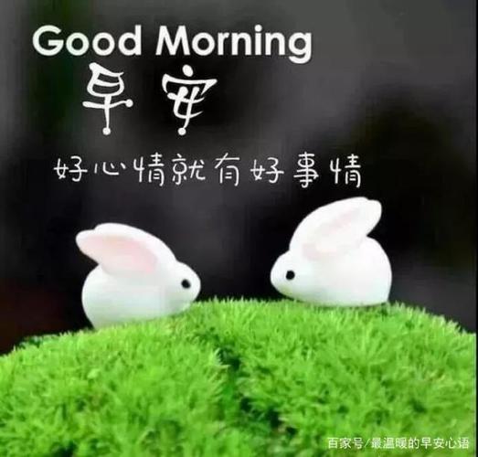 新的一天早上好图片问候暖心句子 最美早安心语祝福壁纸美图动画