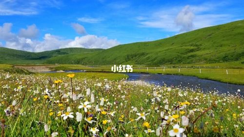 花海景区_俄木塘花海_毛衣_防晒霜_夏天去哪玩_景点_出行_出行攻略