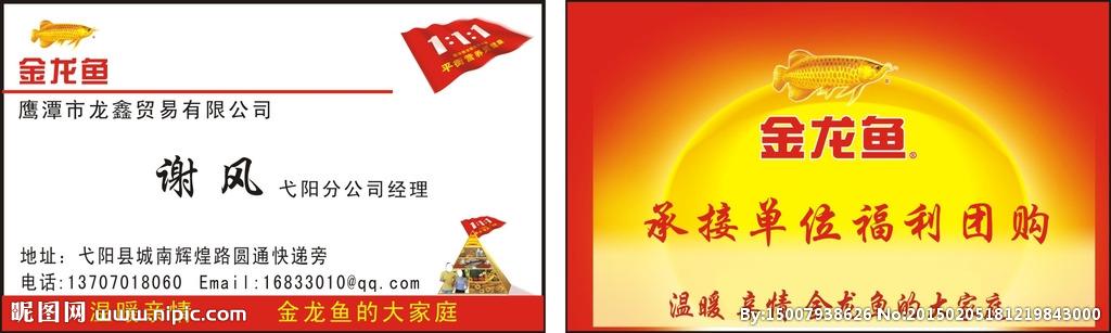 金龙鱼名片图片