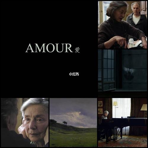 观影日记‖《amour》_日记_电影_推荐一部好电影_影视