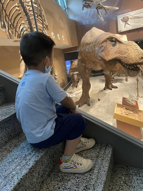 上海自然博物馆看恐龙化石啦_自然博物馆_恐龙_上海自然博物馆_夏天去