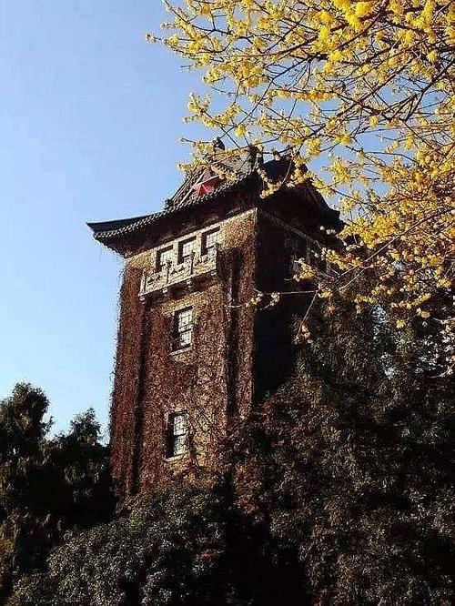 南京大学 人文艺术传播类正在路上!   显示全部