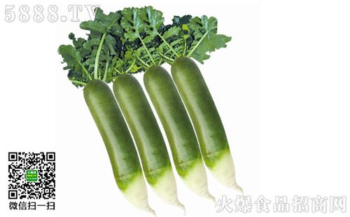 青萝卜的营养成分