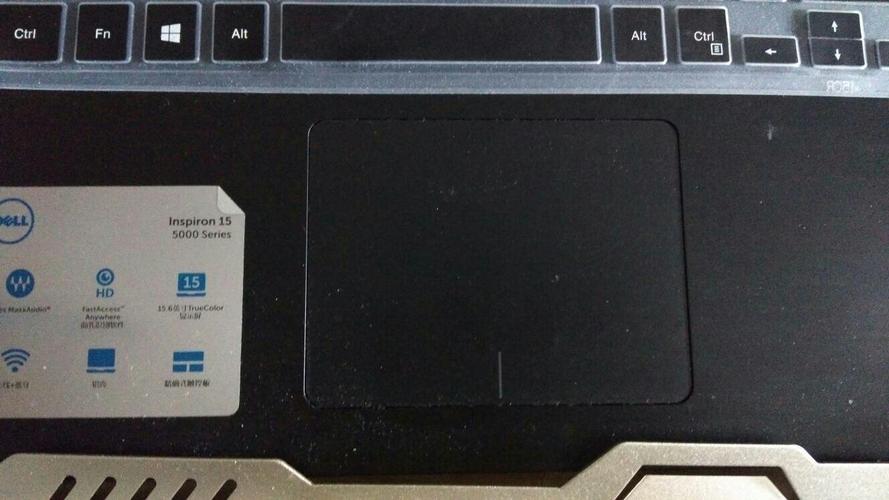 笔记本电脑,戴尔p39f怎么开启这个?好像叫触摸板?