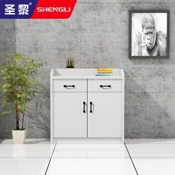 圣黎办公家具茶水柜财务柜办公室资料柜档案柜 二门(白色款)