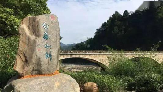 政和楠木林 中国白茶小镇 念山云谷鹊桥一日游