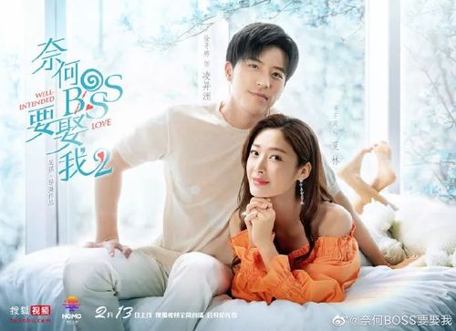 《奈何boss要娶我2》是由吴强执导,徐开骋,易柏辰,王双领衔主演