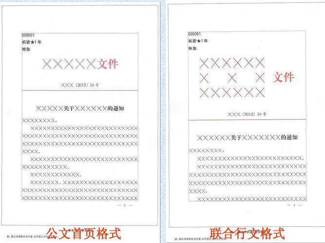 公文首页格式 联合行文格式