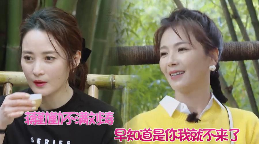 谢娜怀孕待产刘涛接棒新团长,蒋勤勤不满:早知道是你我就不来了