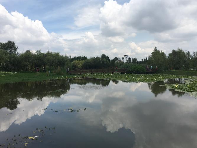 昆明宝丰湿地公园