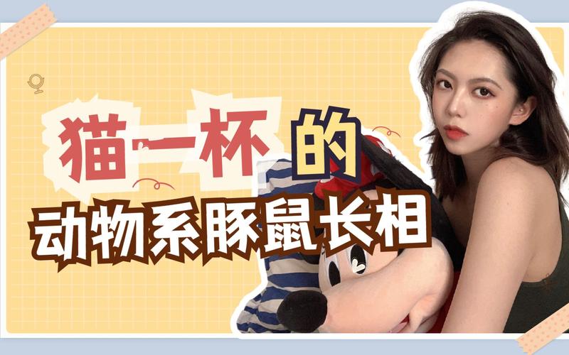 猫一杯的动物系豚鼠长相孟子成看脸