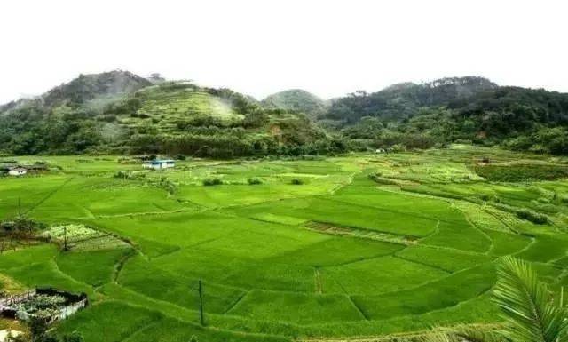  p>金鸡镇,广西壮族自治区梧州市藤县下辖镇, span class="ref" data