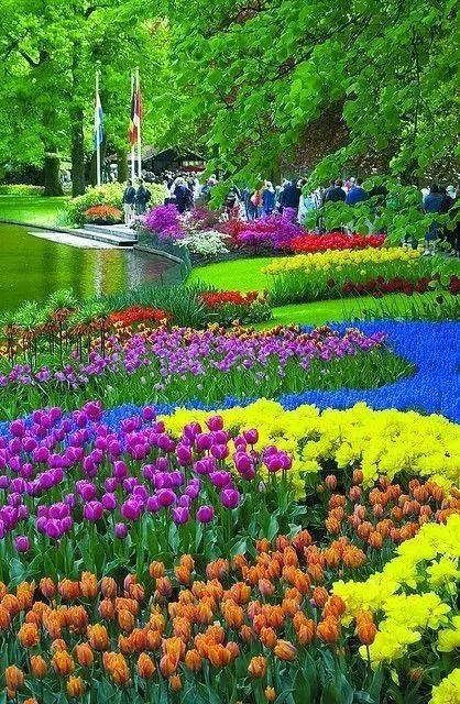 【美图欣赏】初夏五月,送你一片花海