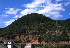 杨家坟山遗址