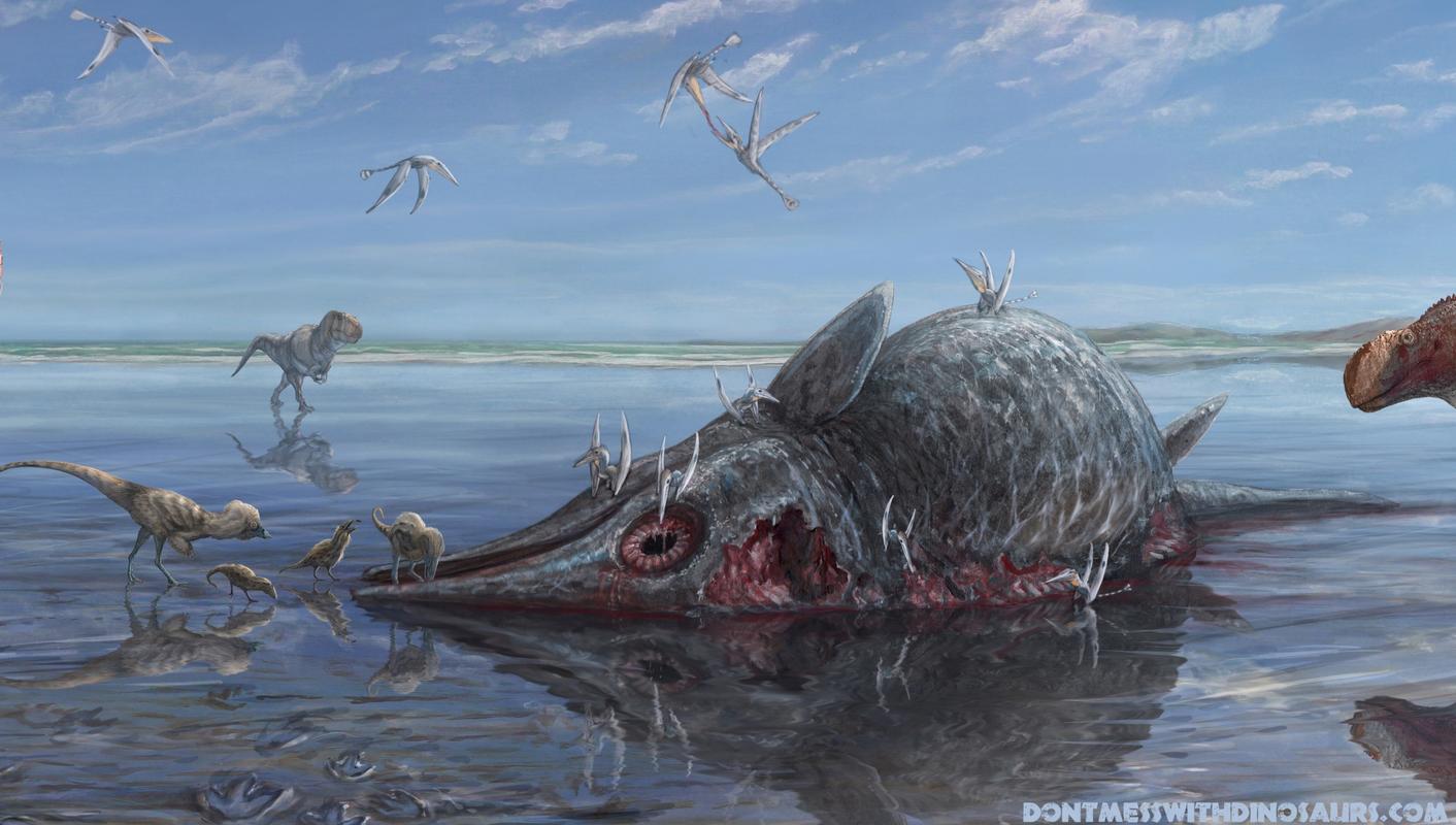 【古生物复原图鉴赏】恐龙踩踏现场        柯蒂斯组(curtis