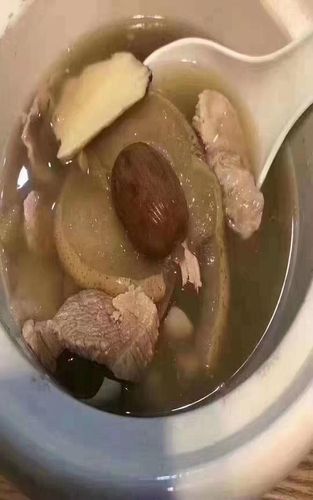 虎乳润肺汤陈皮海底椰虎乳菌虎奶养生煲汤食疗滋补汤g