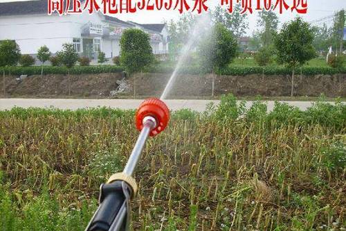 0/个 打药机喷头  农用喷雾器水枪枪式