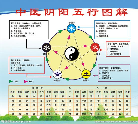 阴阳五行属性代表什么