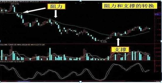 学到了选股技巧,你在股市就能游刃有余,即使是熊市,你也不用怕.