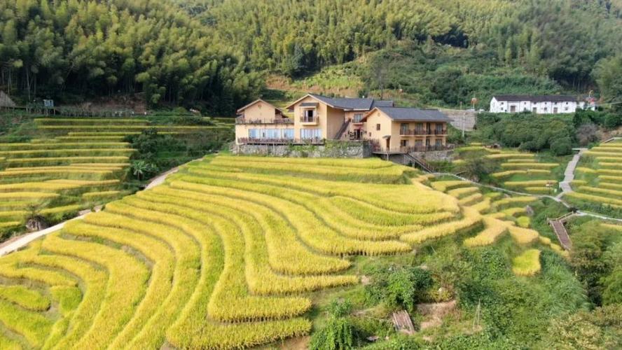 上堡梯田秋收在即!快来领略天地间最绚丽的色彩!