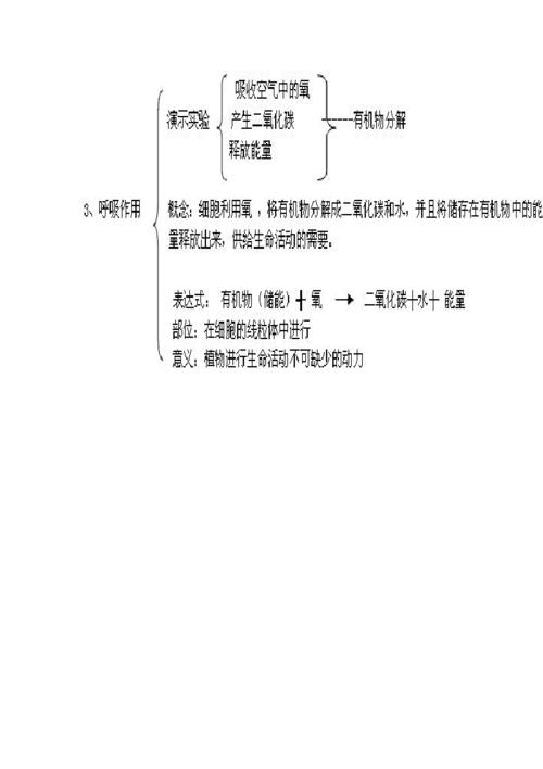 绿色植物在生物圈中的作用 知识总结 植物的呼吸光合和蒸腾作用素材