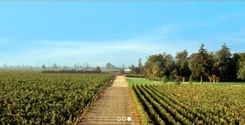 该酒庄位于麦坡谷(maipo valley)."almaviva"的中文翻译为:"活灵魂".