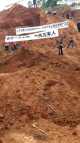 广西陆川县清湖镇塘榄大塘江,下低坡,塘坡,龙角队土地