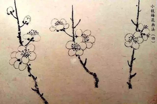 一笔画一瓣5笔画梅花画各种方向的花看了没有学不会的