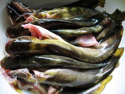 香浓河鲜:竹笋烧仔鲢 (组图)