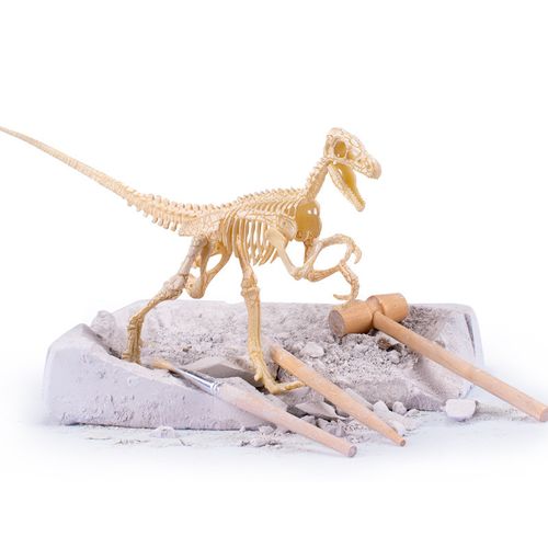 霸王龙恐龙化石 恐龙考古挖掘玩具 儿童益智diy制作拼装模型骨架