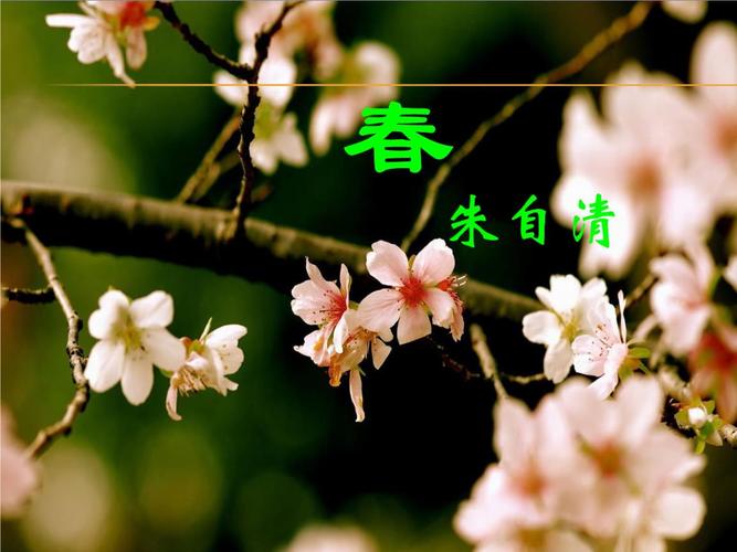 朱自清春优秀实用公开课课件ppt63页