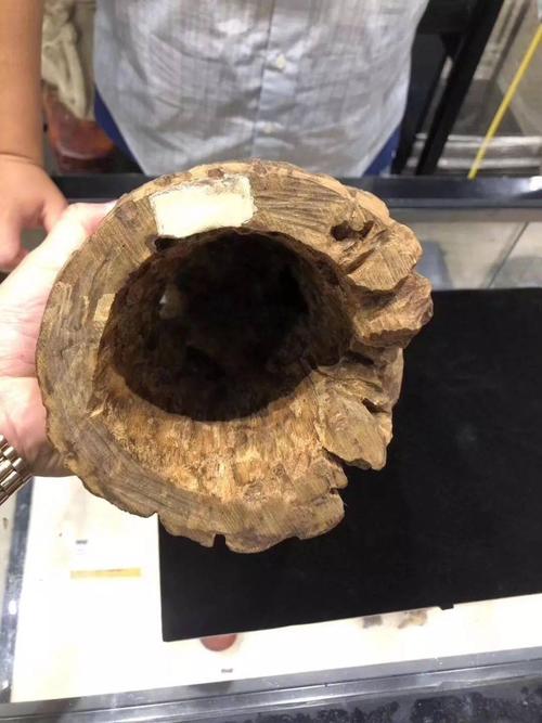 价值212亿的奇楠沉香不过如此罢了