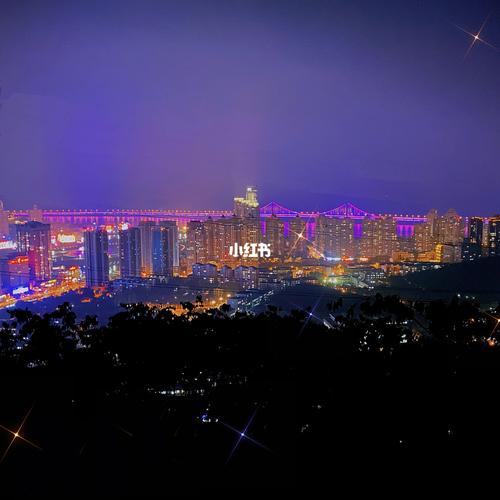 大连最美山顶,俯瞰大连夜景_夜景_风景_富国公园_拍照