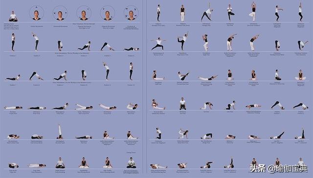 哈他瑜伽初学者指南帮助你产生力量和柔韧性平衡精神和身体的和谐