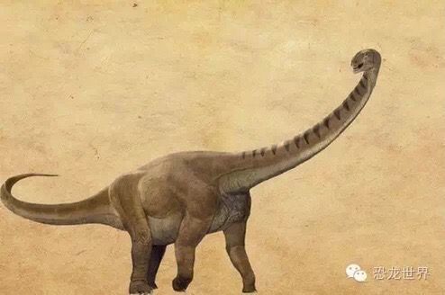 川街龙【体长:>25米,体高:6米,体重:~25吨】.